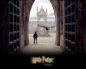 Harry Potter 5
